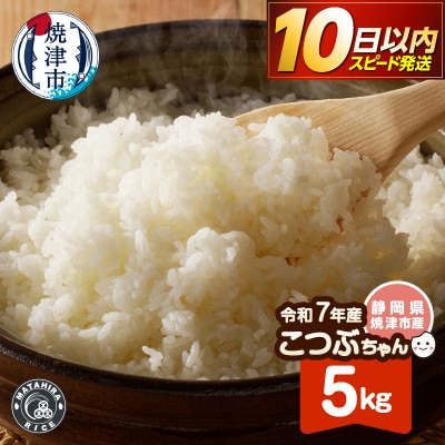 令和7年産 おいしく節約 しあわせごはん お米の小粒ちゃん 5kg(a05-026)