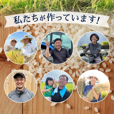 令和7年産 おいしく節約 しあわせごはん お米の小粒ちゃん 5kg(a06-011)