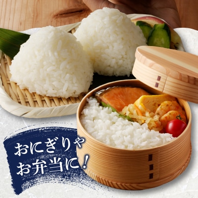 令和7年産 おいしく節約 しあわせごはん お米の小粒ちゃん 5kg(a11-194)