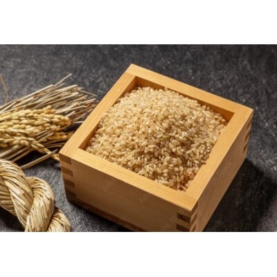 令和7年産　アースのおこめ　栽培期間中農薬70%減　特別栽培米　玄米5Kg(a21-084)