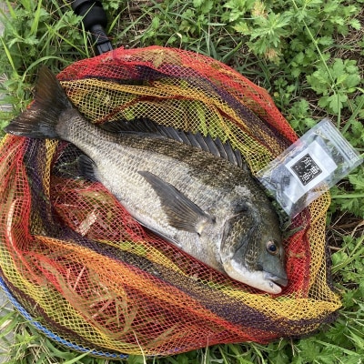 魚魚角(トトキューブ)イカ墨ブラック15個入り3袋 釣り ワーム(a11-175)