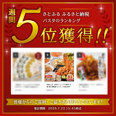 お試し用　訳あり レンジで簡単 冷凍 焼き調理麺 セット 10食(a08-015)