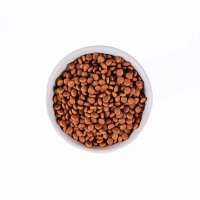 キャットフード　MaruNekoGG　Grilled・Premium(a20-468)