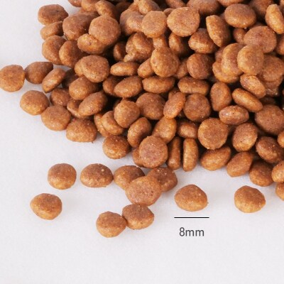 キャットフード　MaruNekoGG　Grilled・Premium(a20-468)