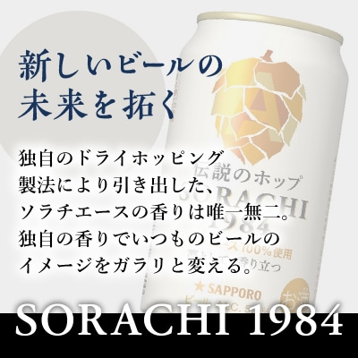【定期便3回】サッポロ SORACHI 1984 ソラチ 350ml×12本(T0111-1003)