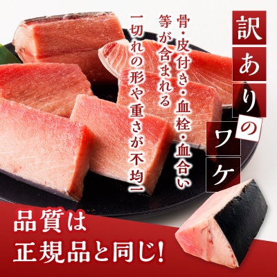 訳あり ミナミマグロ 刺身 中トロ 天然 切り落とし 約1.4kg(a19-060)