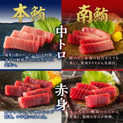 マグロ 本マグロ 南マグロ 天然 中トロ 赤身 食べ比べ 柵 贅沢 540g(a20-477)