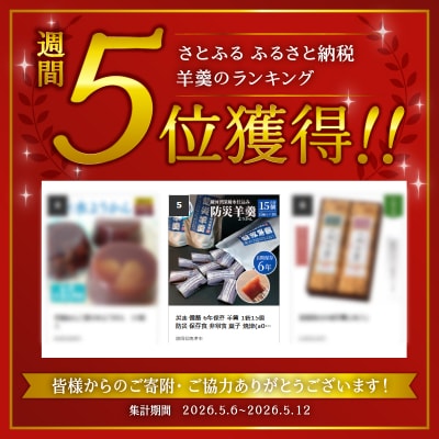 災害 備蓄 6年保存 羊羹 1袋15個 防災 保存食 非常食 菓子 焼津(a05-020)