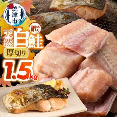 厚切りカット!天然 白鮭 甘口 切身 約1.5kg(a10-1311)