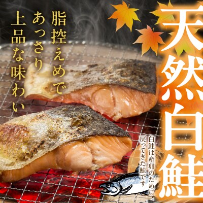 厚切りカット!天然 白鮭 甘口 切身 約2kg(a15-713)