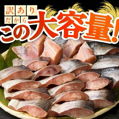 厚切りカット!天然 白鮭 甘口 切身 約2kg(a15-713)