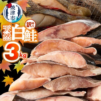 訳あり! 天然 白鮭 甘口 切身 約3kg 便利なジッパーバック入り(a20-488)