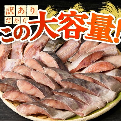 訳あり! 天然 白鮭 甘口 切身 約3kg 便利なジッパーバック入り(a20-488)