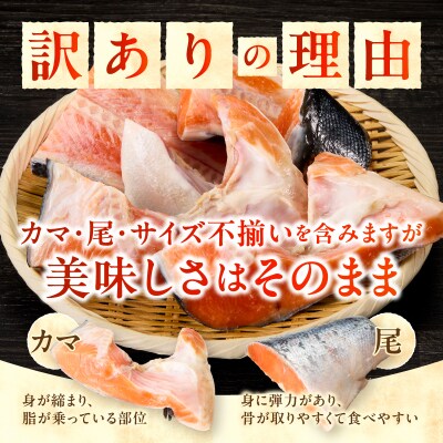 訳あり! 銀鮭 切身 約2.4kg 便利なジッパーバック入り(a20-489)