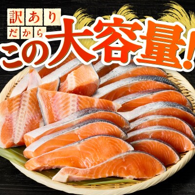 訳あり! 銀鮭 切身 約2.4kg 便利なジッパーバック入り(a20-489)