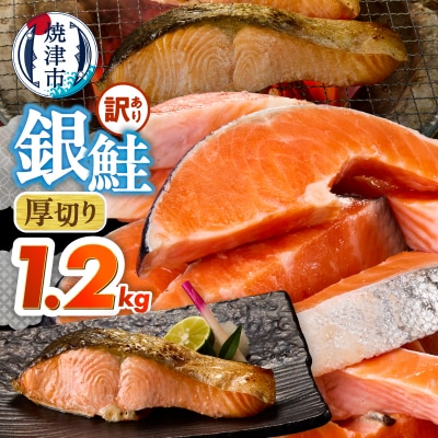 厚切りカット! 訳あり 銀鮭 切身 約1.2kg(a10-1310)