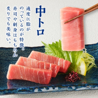 訳あり　本マグロ 天然 中トロ 500g(a14-150)