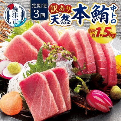 訳あり　本マグロ 天然 中トロ 500g【定期便3回】(a42-018)