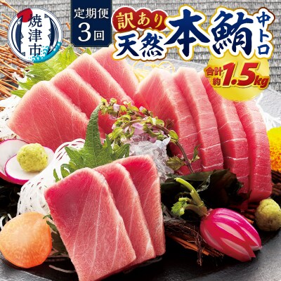 訳あり　本マグロ 天然 中トロ 500g【定期便3回】(a42-018)