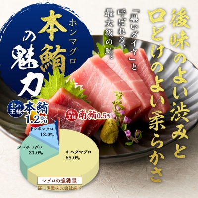 訳あり　本マグロ 天然 中トロ 500g【定期便3回】(a42-018)