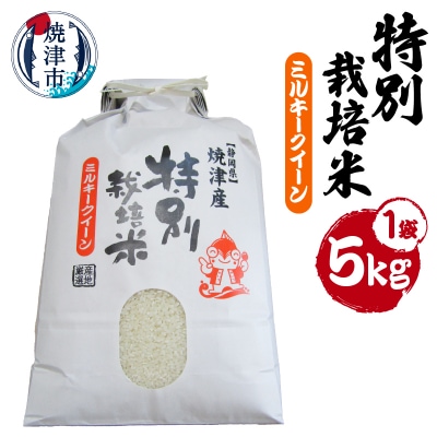 特別栽培米　令和7年産　ミルキークイーン　5Kg　農家のお米(a14-152)