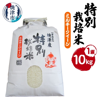 特別栽培米　令和7年産　ミルキークイーン　10Kg　農家のお米(a28-043)
