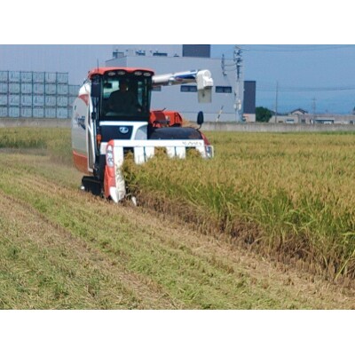 特別栽培米　令和7年産　ミルキークイーン　10Kg　農家のお米(a28-043)