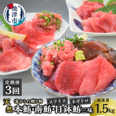 海からの贈り物 焼津天然まぐろ三昧 切り落とし(3回お届け)定期便(a30-330)