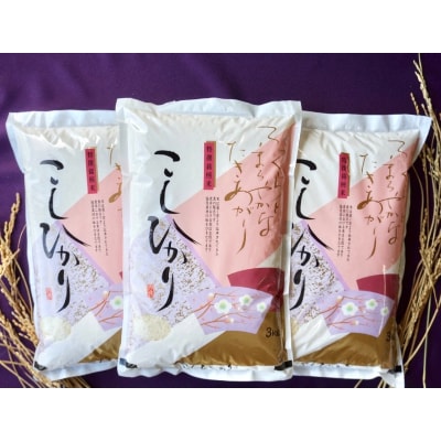 九十九里のコシヒカリ9kg(3kg×3)R3年産