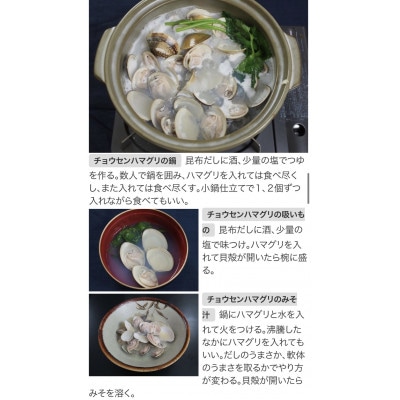 BBQ,お鍋に最高!九十九里浜産天然はまぐり冷凍2kg入り