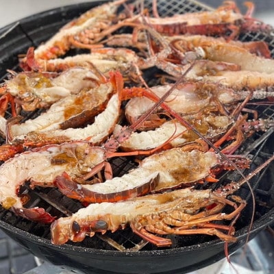 伊勢海老の誘惑に抗えない舌鼓「梅」1尾約500g~600g×2尾