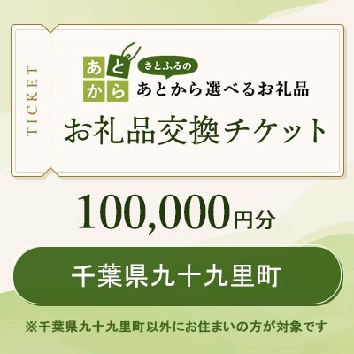 千葉県九十九里町　お礼品交換チケット　100,000円分