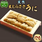 【令和8年発送 先行予約】利尻昆布を食べておいしく育った「生むらさきうに」120g ウニ 海鮮