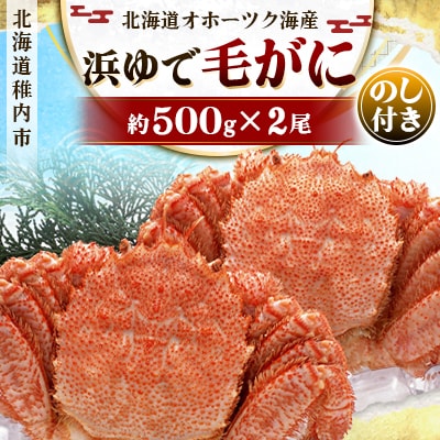 【のし付き】北海道オホーツク海産 浜ゆで毛がに　約500g×2尾