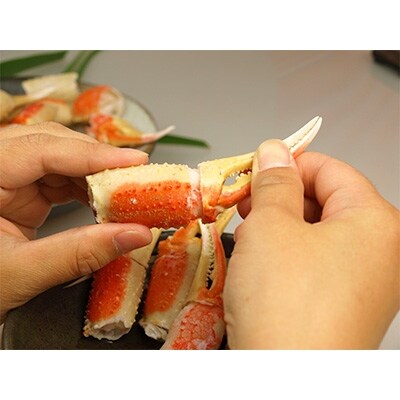 ボイル済み本ずわい蟹爪玉　約600g(スリット入り)