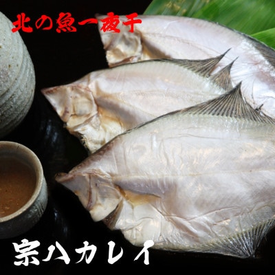 【 北海道 の 居酒屋 気分!】 一夜干し 宗八 カレイ 4パックセット 稚内