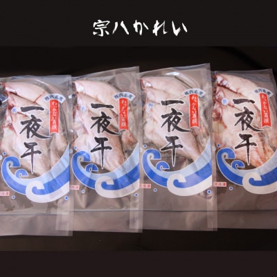 【 北海道 の 居酒屋 気分!】 一夜干し 宗八 カレイ 4パックセット 稚内