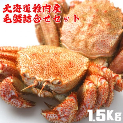 北海道 稚内産 浜ゆで 毛ガニ 約1.5kg 詰合せセット (2～3尾入) 剥き方 ガイド付