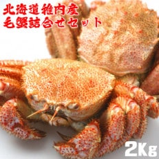 北海道稚内産 浜ゆで毛蟹約2kg詰合せセット(2～4尾入)剥き方パンフレット付 | ふるさと納税のお礼品