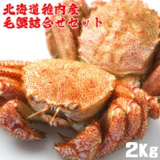 北海道 稚内産 浜ゆで 毛ガニ 約2kg 詰合せセット (2～4尾入) 剥き方 ガイド付