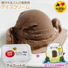 【 業務用 】 稚内牛乳 アイスクリーム チョコレート (2L) と 出汁之介 ホッケ燻製スティック