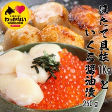 【 稚内産 】天然 生ほたて 1kg と 秋鮭 いくら 醤油漬 250g ( 北海道 海鮮丼 に!)