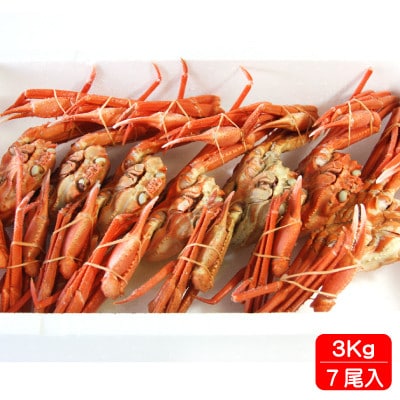 北海道稚内産 紅ズワイガニ 姿 3kg 7尾入 蟹食べ放題 ♪  脚 剥き方 ガイド付