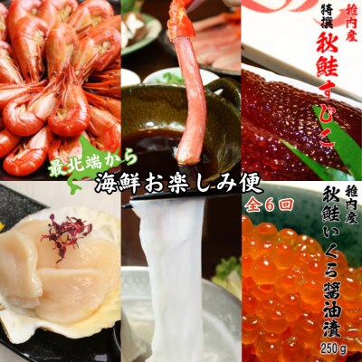 【毎月定期便】〈最北端から〉海鮮お楽しみ便 かにしゃぶ いくら たこしゃぶ ほたて 筋子 えび全6回