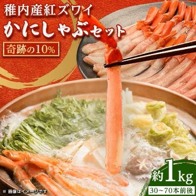 【毎月定期便】〈最北端から〉海鮮お楽しみ便 かにしゃぶ いくら たこしゃぶ ほたて 筋子 えび全6回