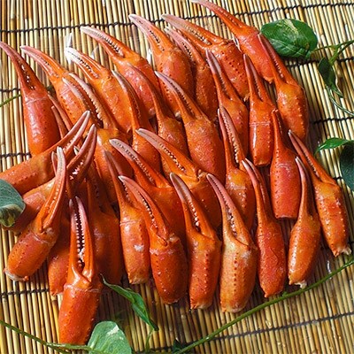 稚内産紅ズワイガニ爪特大サイズ1kg あふれ出すカニの旨味が至高の爪肉