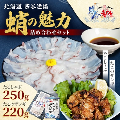 【宗谷の海味】蛸の魅力詰め合わせセット(たこしゃぶ たこザンギ) 北海道 宗谷漁協