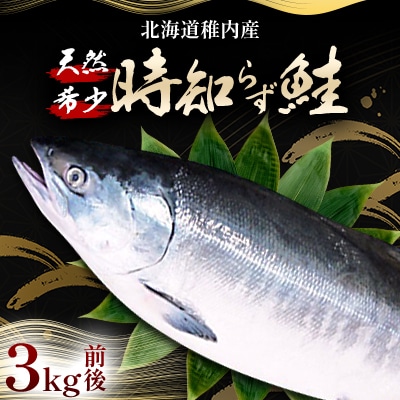 『希少・天然』時知らず鮭3kg前後