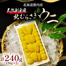 北海道稚内市,うにのお礼品・返礼品一覧 | ふるさと納税サイト
