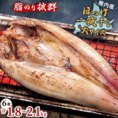 脂のり抜群　稚内産ほっけ一夜干し6枚セット | ふるさと納税のお礼品